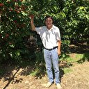 Türk kirazının Çin hedefi