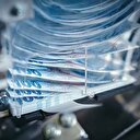 Barış için son tarih 31 Temmuz