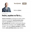 İncire, zeytine ve Tûr’a…