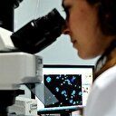 Yüksek vücut sıcaklığı savunma sistemini hızlandırıyor