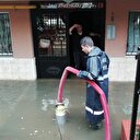 Kocaeli sele teslim
