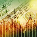 Dolar operasyonu ters tepti