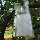 Bahçesinde askerin ağaca asılı bıraktığı notu görünce şaşkına döndü