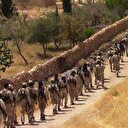 30 gün içinde çıkıyorlar