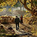 Nuri Bilge Ceylan'ın 'Ahlat Ağacı' vizyona girdi