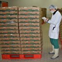 Türk tavuğunda yeni hedef Çin