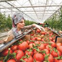 Bankaların tarıma
desteği arttı