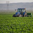 Tarımda istihdam martta 5 milyonu aştı