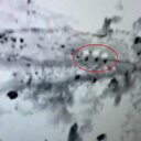 Şemsiyeli teröristler İHA’ya böyle yakalandı
