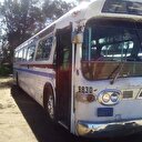 Kira ödemek istemedi otobüsü ev yaptı