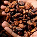 Fiyatı gram altınla yarışıyor