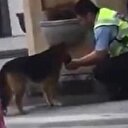 Malatya'da köpeğe avucundan su içiren polise ödül