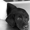 RTÜK'ten medyaya uyarı