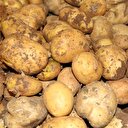 Bakan Fakıbaba'dan 'patates' açıklaması