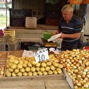 15 gün içinde 1 liraya kadar düşecek