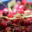 Kiraz ihracatı rekora koşuyor