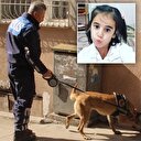 Küçük Eylül'ün cansız bedeni bulundu