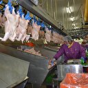 Irak’tan Türkiye’ye ek vergi