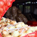 Patates ve soğan fiyatlarında keskin düşüş