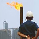 Türkiye ile
birlikte büyüdüler