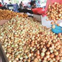 Patates ve soğan
fiyatı sert düştü
