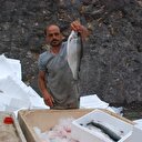 Tokat’ta üretip Japonya’ya satıyor