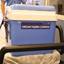 Dünya sağlık bakanları Türkiye'de toplanacak