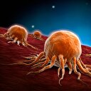 تقنية جديدة تجعل خلايا السرطان تنتحر