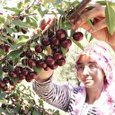 Üretici 35, toplayan 70 lira kazanıyor