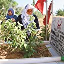 Yaşattıklarını
yaşamadan
ölmesinler