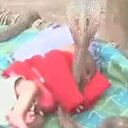 Kobraların koruduğu bebek