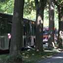 Almanya'da otobüste bıçaklı saldırı