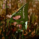 Yeni Pakistan’a giden yol; seçimler