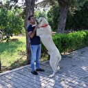 Antalya tatili ödüllü "Alemdar" bulundu