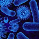 300 milyon kişi hepatitli olduğundan habersiz