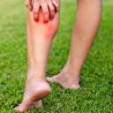 Böcek ısırığı öldürüyor