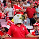 Benfica'nın çıkış şarkısı Fenerlilerin tepkisini çekti