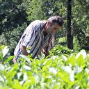 Dünyada sadece Trabzon'da üretiliyor