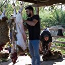 Kurban eti nasıl dağıtılmalı?