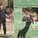 Agresif ve ürkek olanlar eleniyor