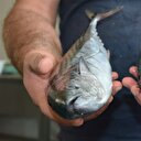 Tanesi 5 liraya kadar düştü