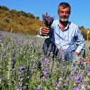 Kilosunu bin eurodan satıyor