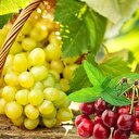 Yaş meyve sebze sektörü tanıtım atağına kalktı