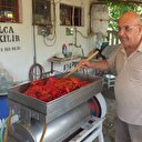 Fabrikalarla yarışıyor: Günde 5 ton salça üretiyor