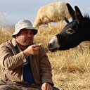 İlçede başkan merada çoban