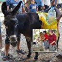 İzmir'de eşeklerle su taşınıyor