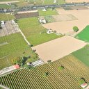 Hazine arazileri çiftçilere kiralanacak