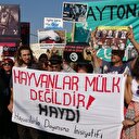 Büyükada'da fayton protestosu