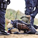 Alman Gezi’sine sert müdahale