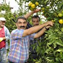 Dalında 75 kuruş markette 5 lira